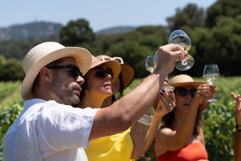 Small Group Marseille Shore Excursion : Avignon & Chateauneuf du Pape Wine Tour 5