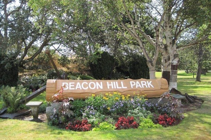 A wooden sign with 'BEACON HILL PARK' written on it, surrounded by a garden with various plants and flowers. 4