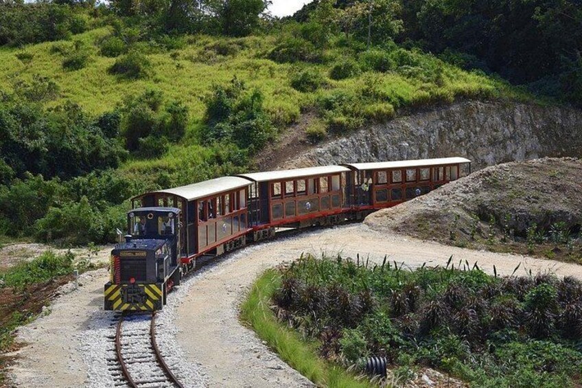St. Nicholas Abbey Train 2