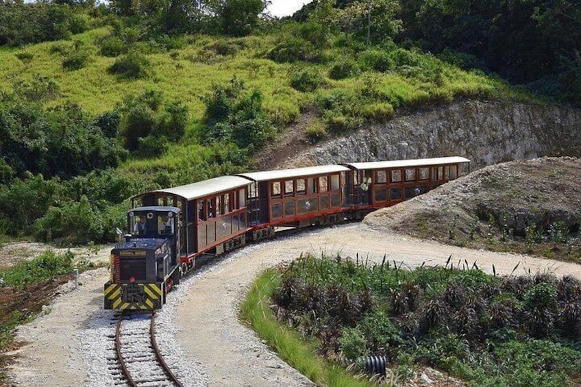 St. Nicholas Abbey Train 5