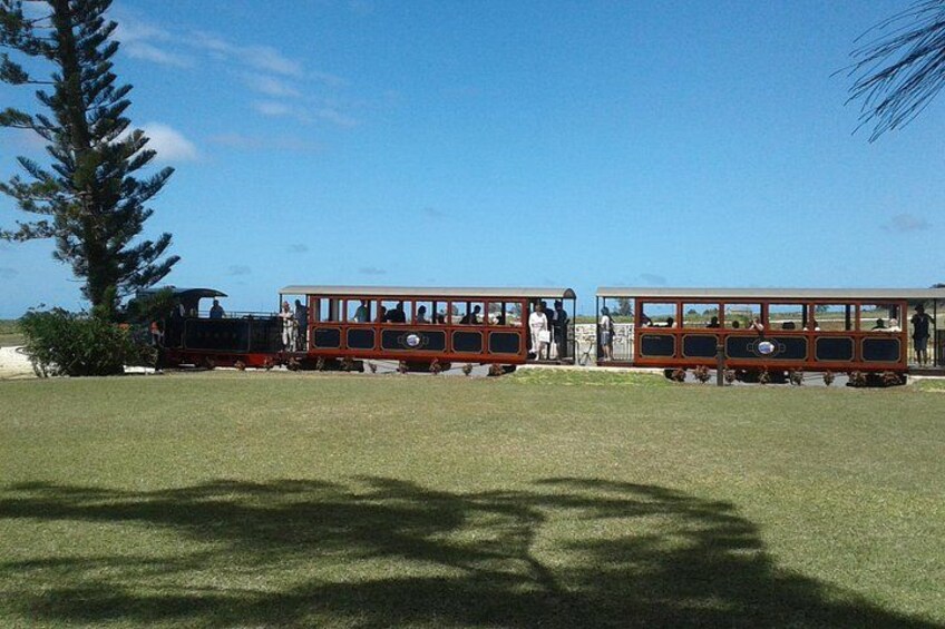 St. Nicholas Abbey Train 1