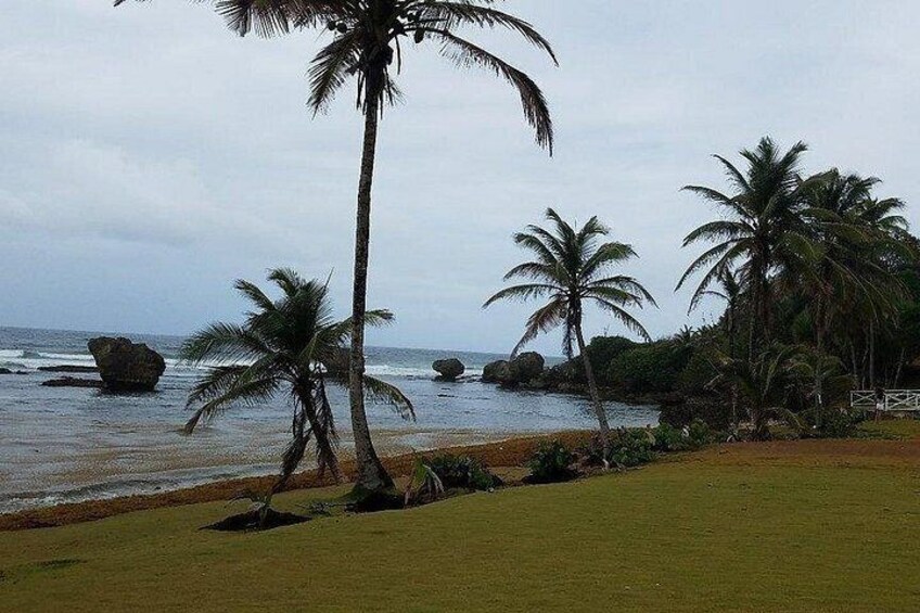 Bathsheba 3