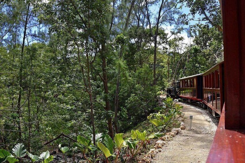St. Nicholas Abbey Train 4