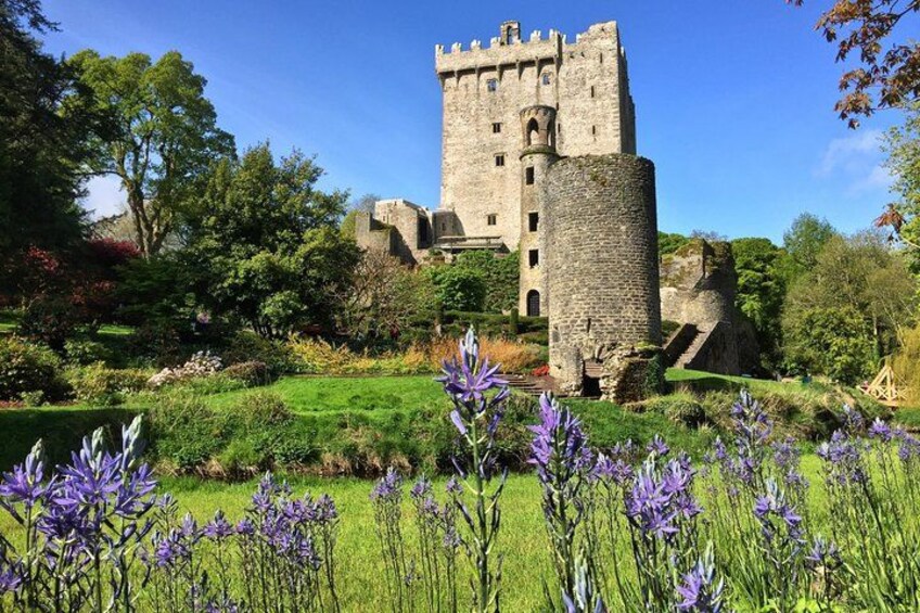 Blarney Castle and Gardens 1