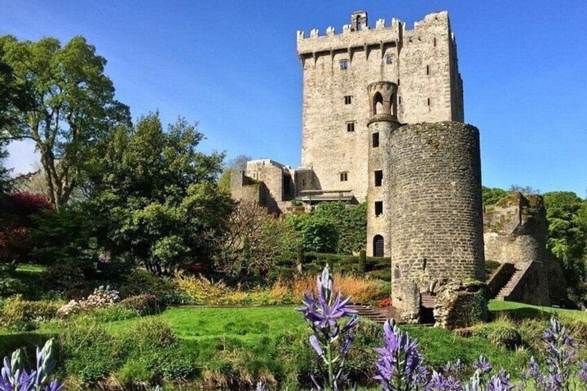 Un castillo histórico con una torre alta, rodeado de exuberante vegetación y plantas en flor. 5