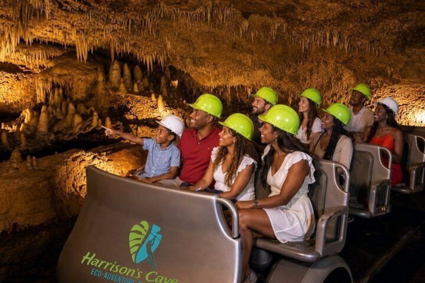 Half-Day Barbados Tour Harrisons Cave Hunte's Garden and Bathsheba 1