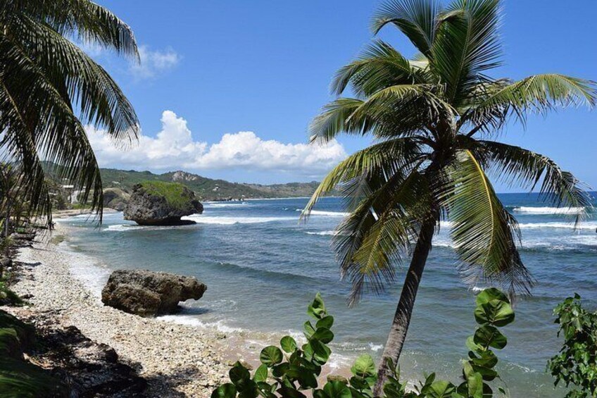 A beach with palm trees, a rocky outcrop, and waves. 3