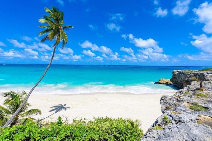 A beach with clear turquoise water, white sand, and a palm tree. 1