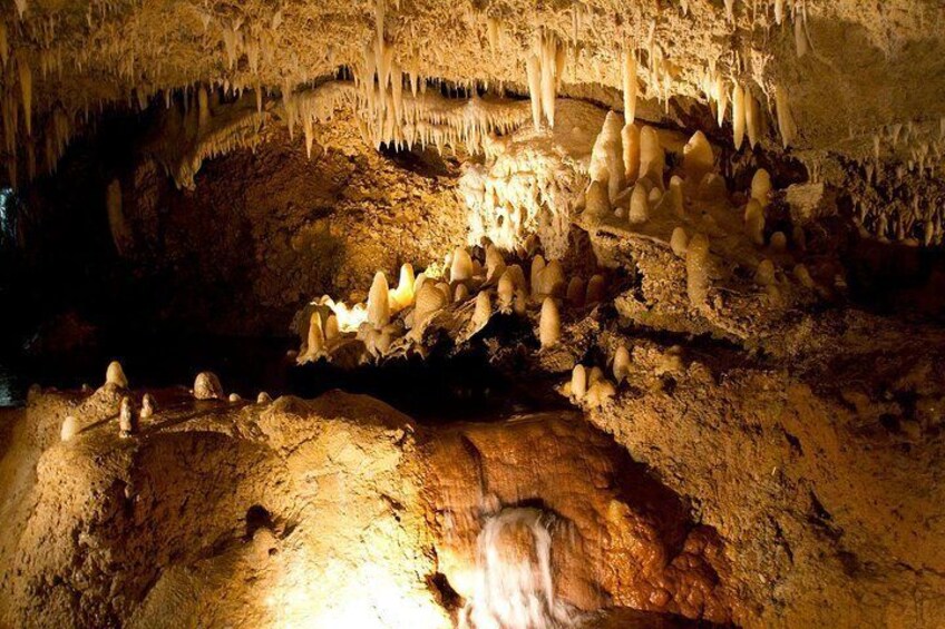 Harrisons Cave