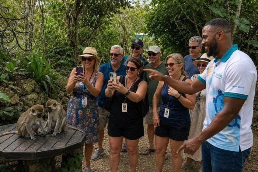 Private Full-Day Barbados Excursion 2