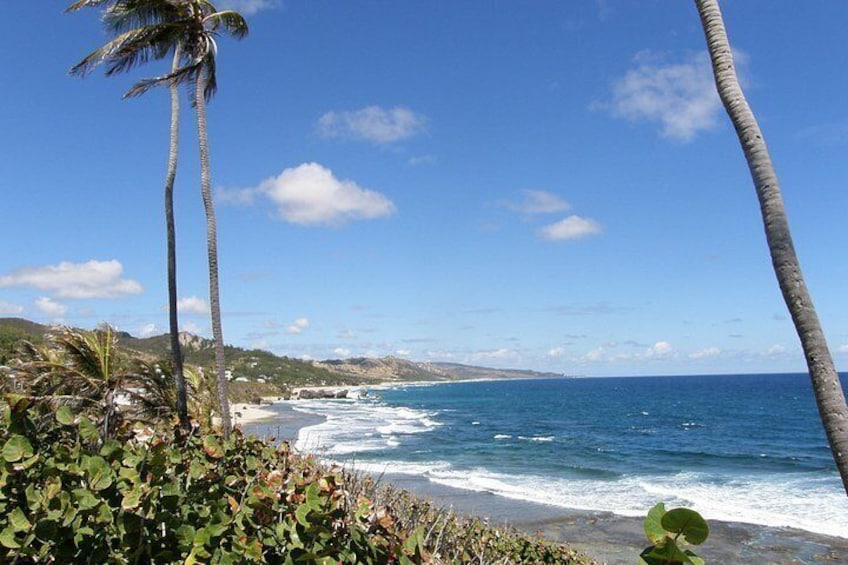 Bathsheba 5