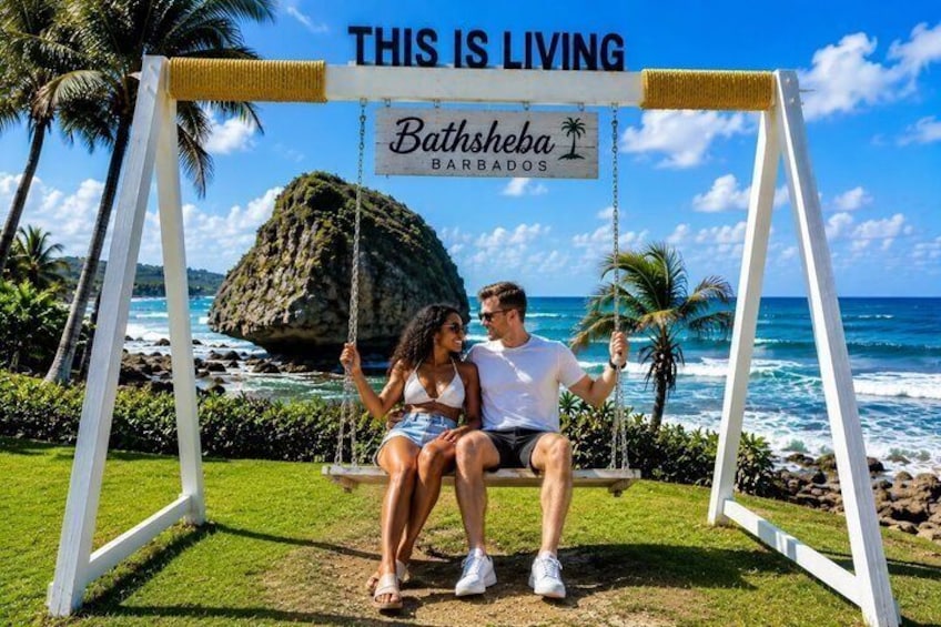 Barbados Island Tour, Monkey Watching & Swimming with Turtles 2