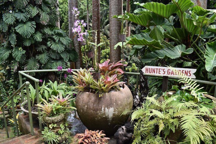 A garden with a large pot, ferns, and a sign that reads "HUNTER'S GARDENS". 5