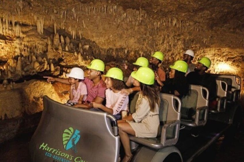 Barbados Harrison's Cave Tram Tour and Boat Cruise Snorkel Adventure 3