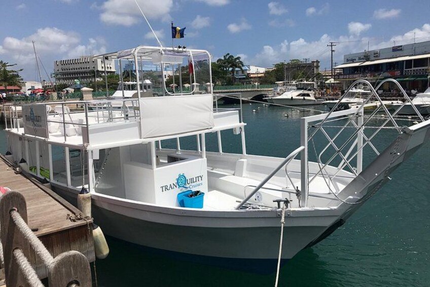 Barbados Turtle and Shipwreck Snorkel Adventure 3