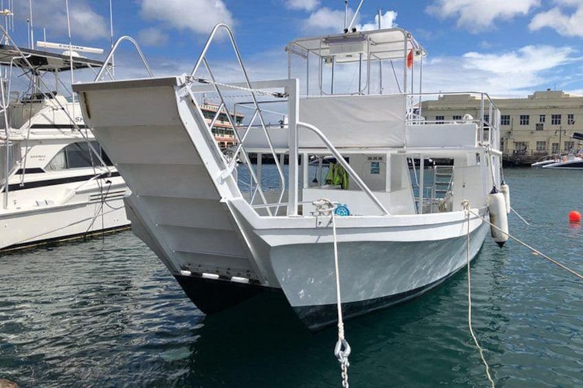 Barbados Turtle and Shipwreck Snorkel Adventure 2
