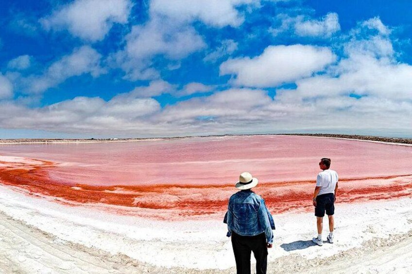 Sandwich Harbour Half-Day 4x4 Tour (5 hours) from Walvis Bay 1