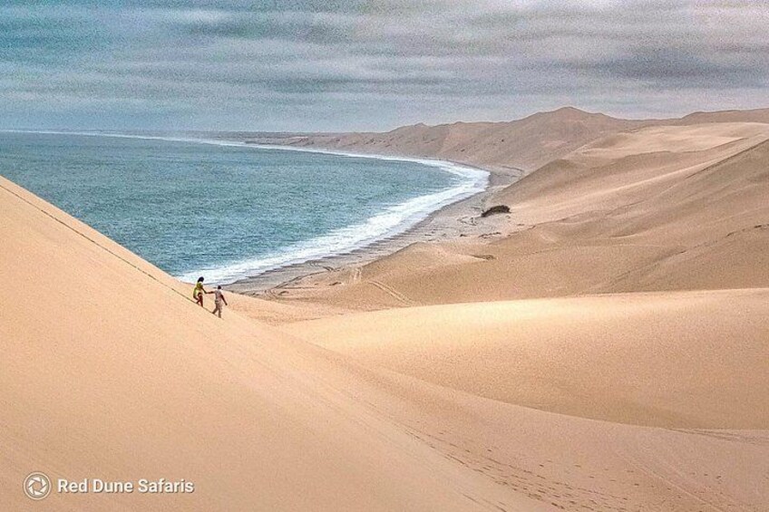 Sandwich Harbour Half-Day 4x4 Tour (5 hours) from Walvis Bay 2