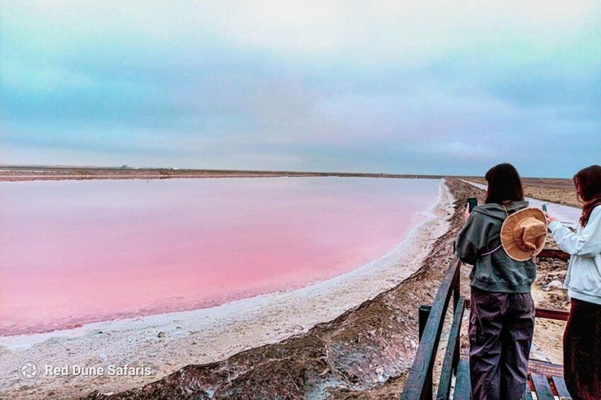 Sandwich Harbour Half-Day 4x4 Tour (5 hours) from Walvis Bay 4