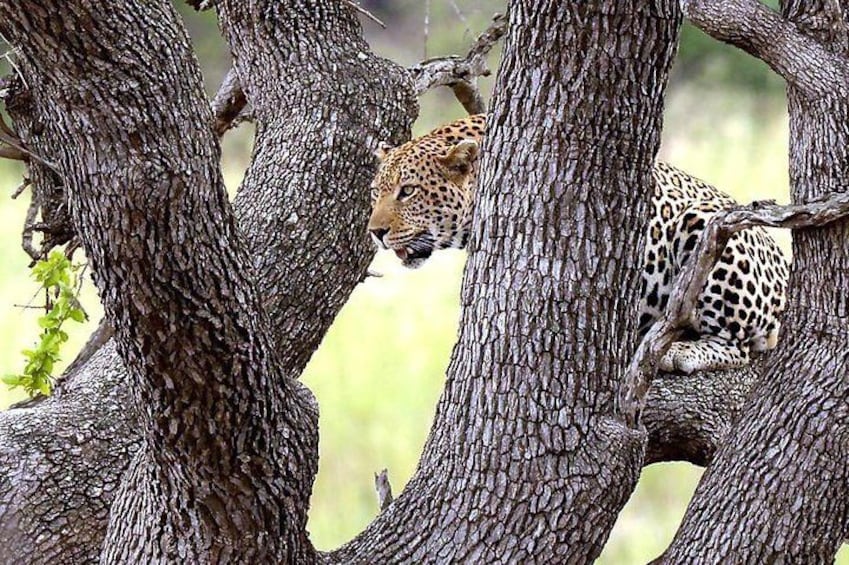 Kruger National Park 3