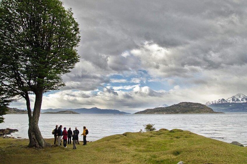 A group of people standing by a tree on a grassy hill overlooking a lake with mountains in the distance. 1
