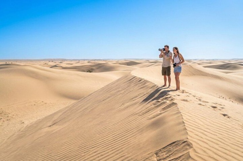Qatar Gold Dune Safari, Dune Bashing,Camel Ride,Sand Boarding,Inland Sea Desert 2