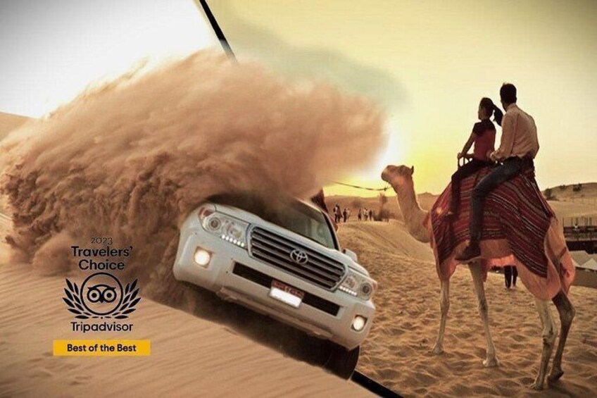 Qatar desert safari camel ride By Falcon Tours Doha-Qatar 5
