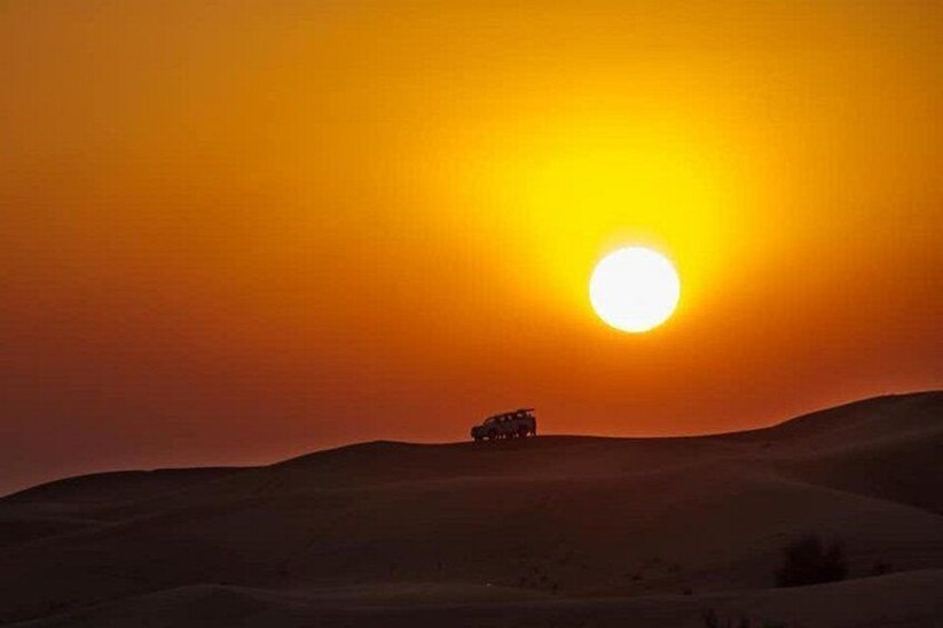 Night Desert Safari, Falcon Tours, Doha-Qatar 2