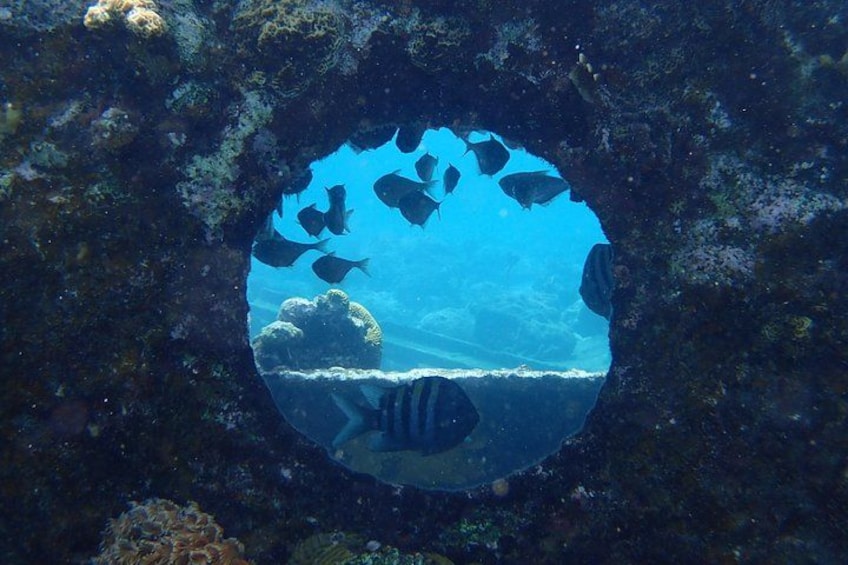 Discover Diving in Curacao 1