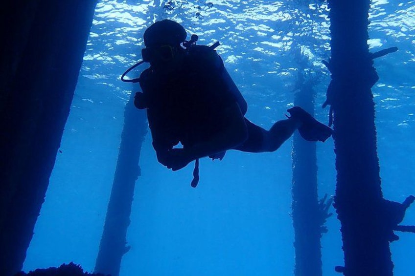 Discover Diving in Curacao 2