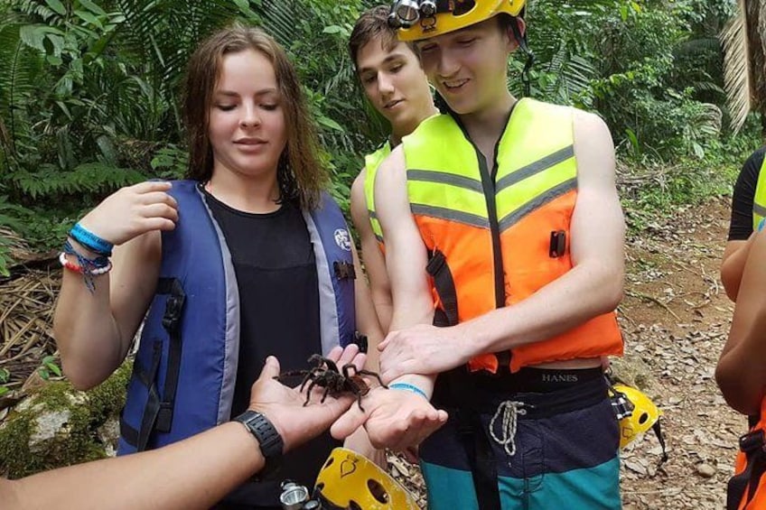 look what we found 4