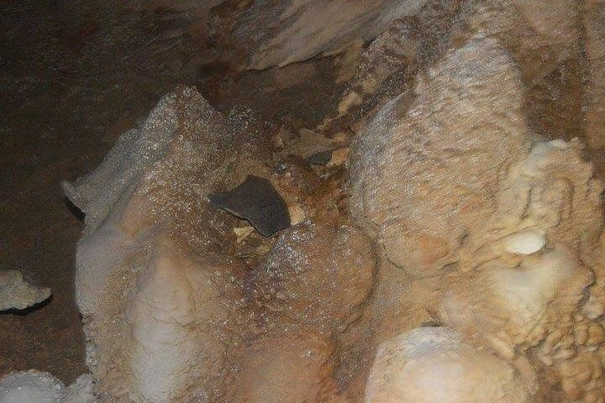L'intérieur d'une grotte, avec des stalactites et un petit ours des cavernes. 3
