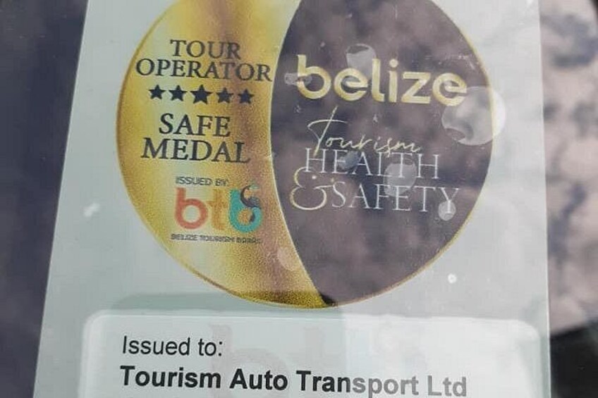 safe medal 2