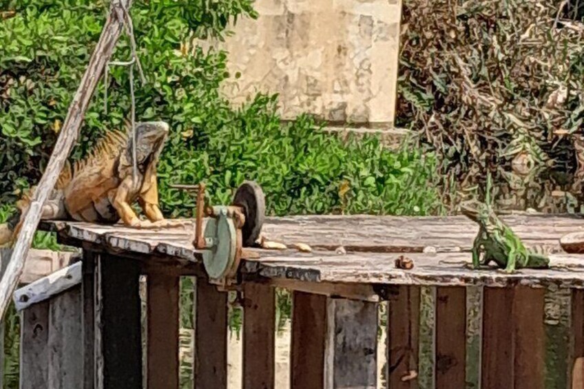 Una plataforma de madera con un mecanismo y un juguete de dinosaurio verde. 2