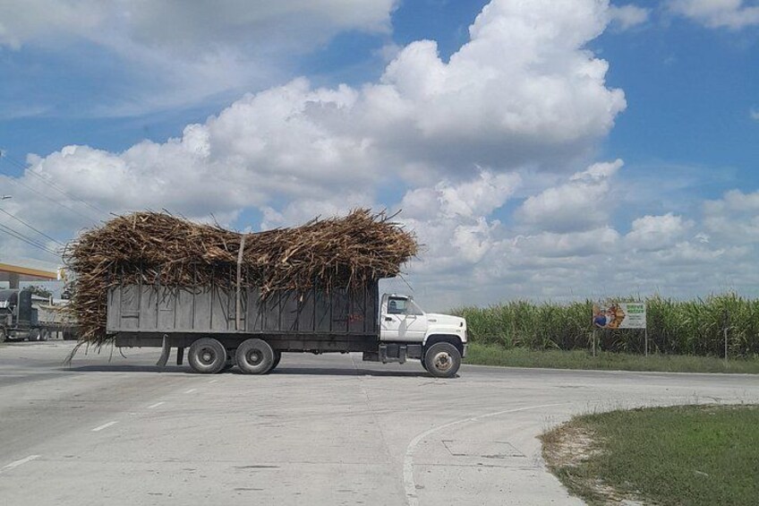 Truck delivering the Sugar Cane 3