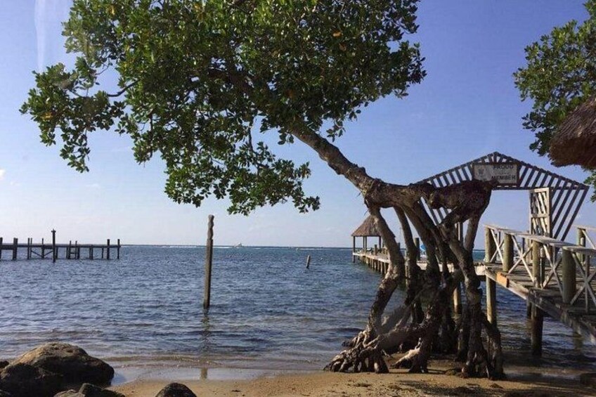 Customizable Best Of Roatan Island Tour in Honduras 3