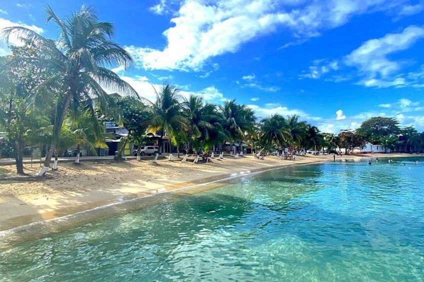 Roatan Beach and Snorkelling Break 5