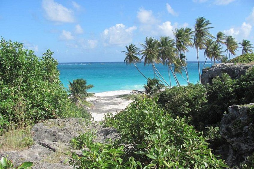 Una playa con agua turquesa cristalina, palmeras y terreno rocoso. 2