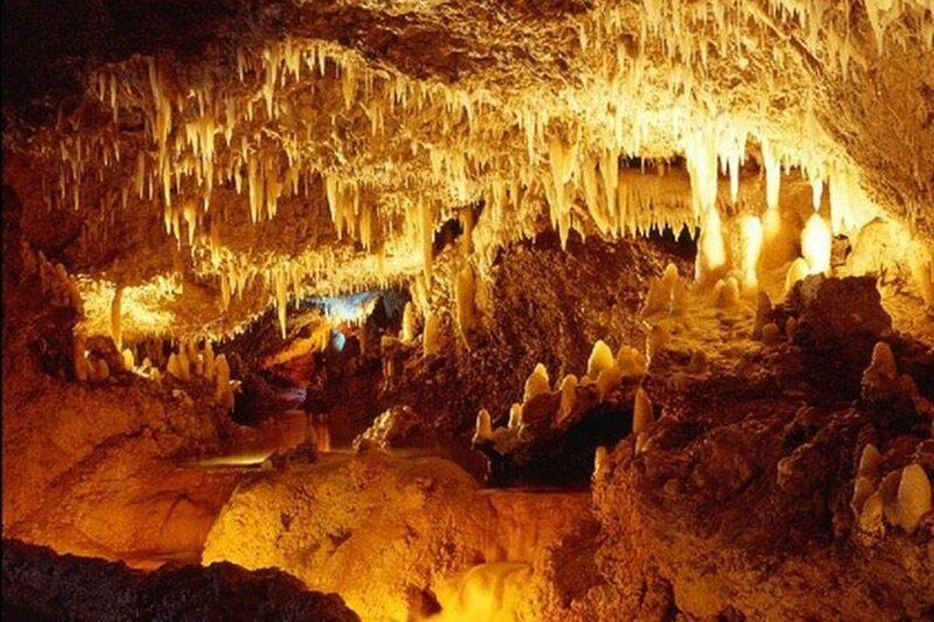 Harrison's Cave Tour from Bridgetown 5
