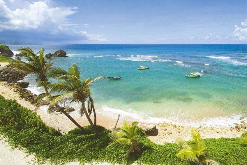 Barbados Island Tour with Lunch and Wildlife Sanctuary 1