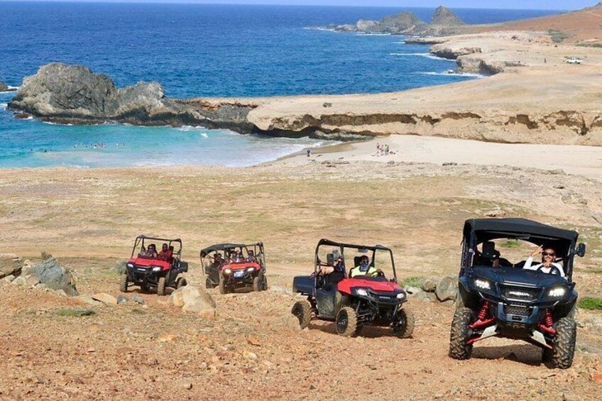 https://media-cdn.tripadvisor.com/media/attractions-splice-spp-720x480/0a/2e/b7/24.jpg 1