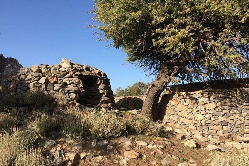Explore the White Mountains of Crete 3