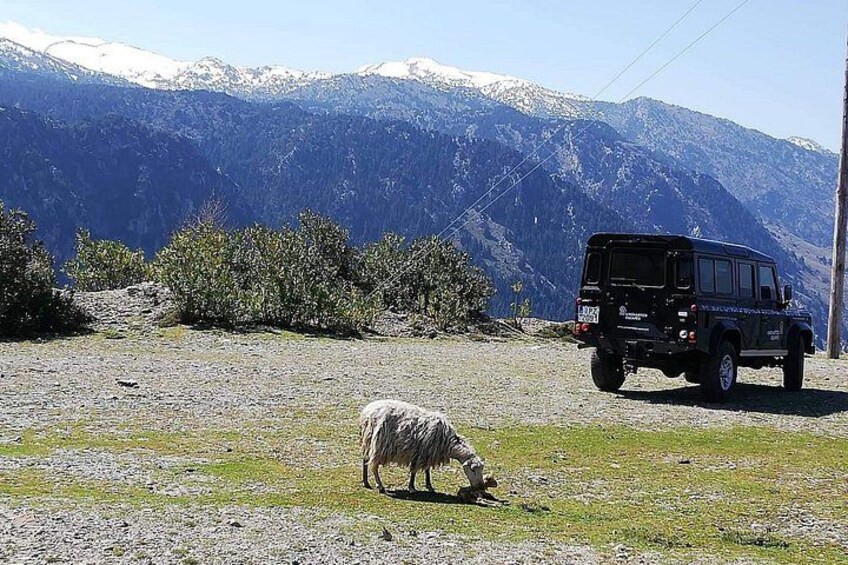 Explore the White Mountains of Crete 2