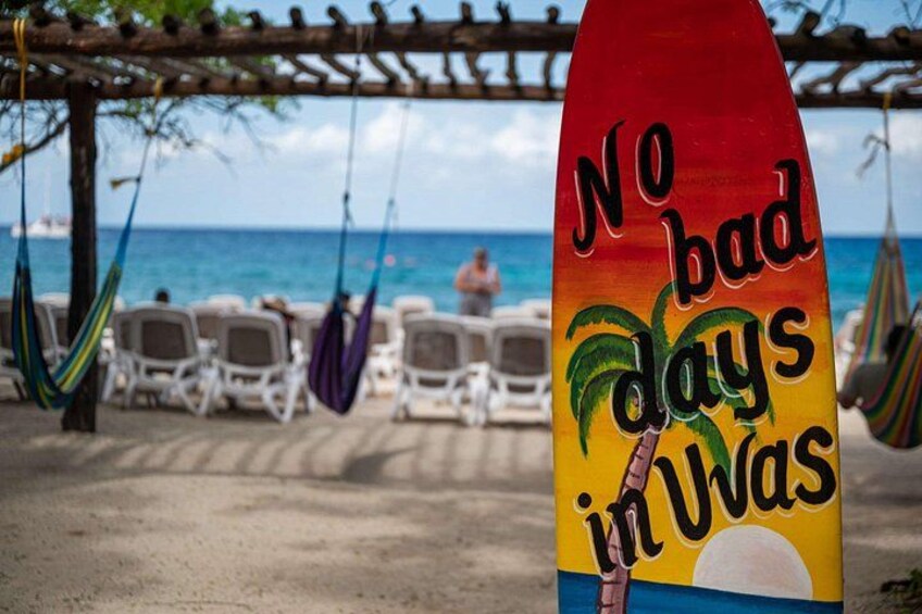 Cozumel ATV Jungle Adventure and Snorkeling with Lunch 5