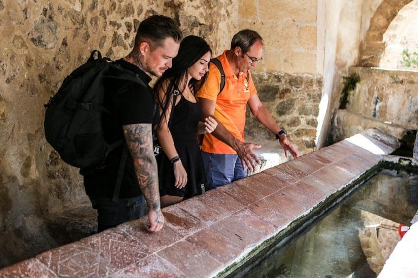 Palma de Mallorca Shore Excursion: Private Tour of Valldemossa, Soller and Serra de Tramuntana 1