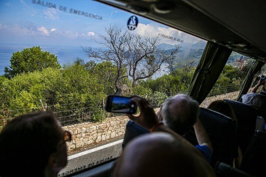 Palma de Mallorca Shore Excursion: Private Tour of Valldemossa, Soller and Serra de Tramuntana 3