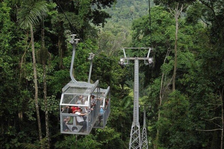 Veragua Rainforest and Tortuguero Canals Shore Excursion