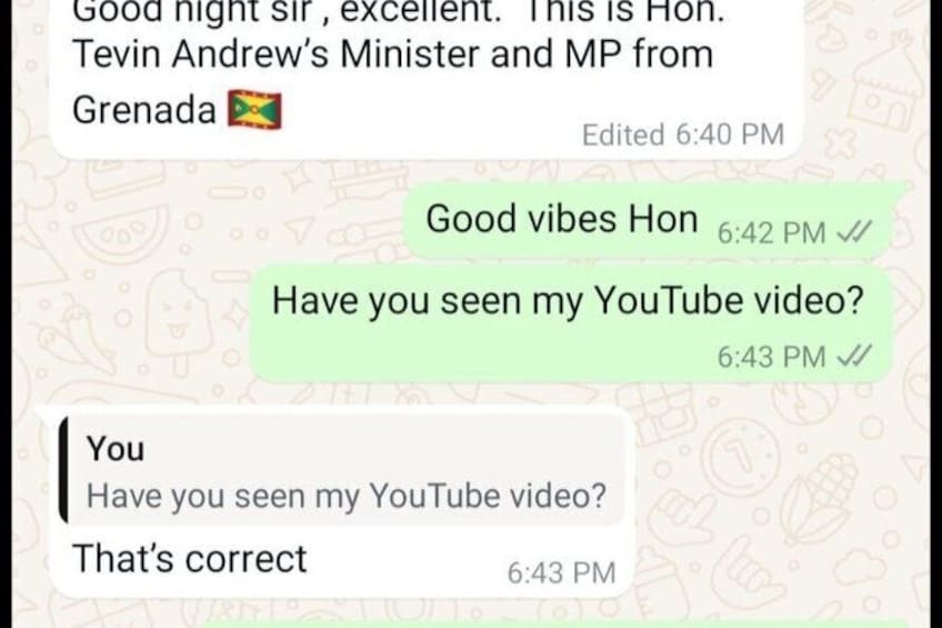 Una conversación por chat con un funcionario de Granada. 2