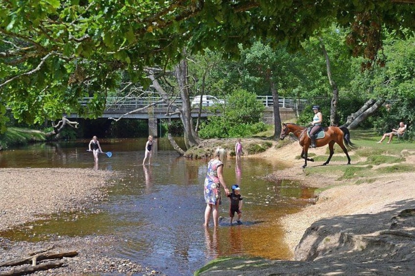 Families playing in the river 2