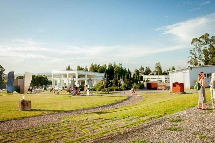 Private Transfer to Punta del Este Special Art Icons Tour 5